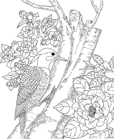 Yellowhammer And Camellia Alabama State Bird And Flower Coloring Page